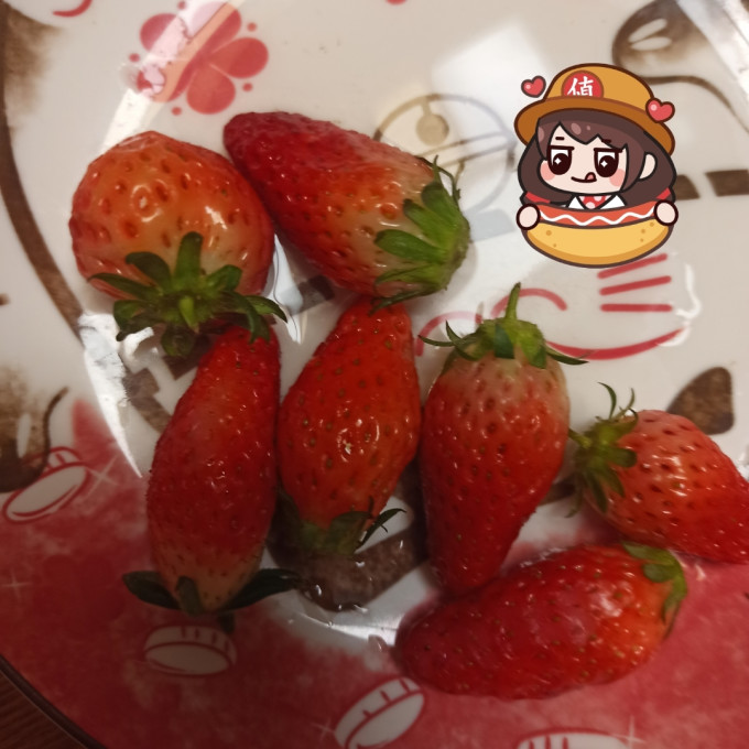 牛小花草莓