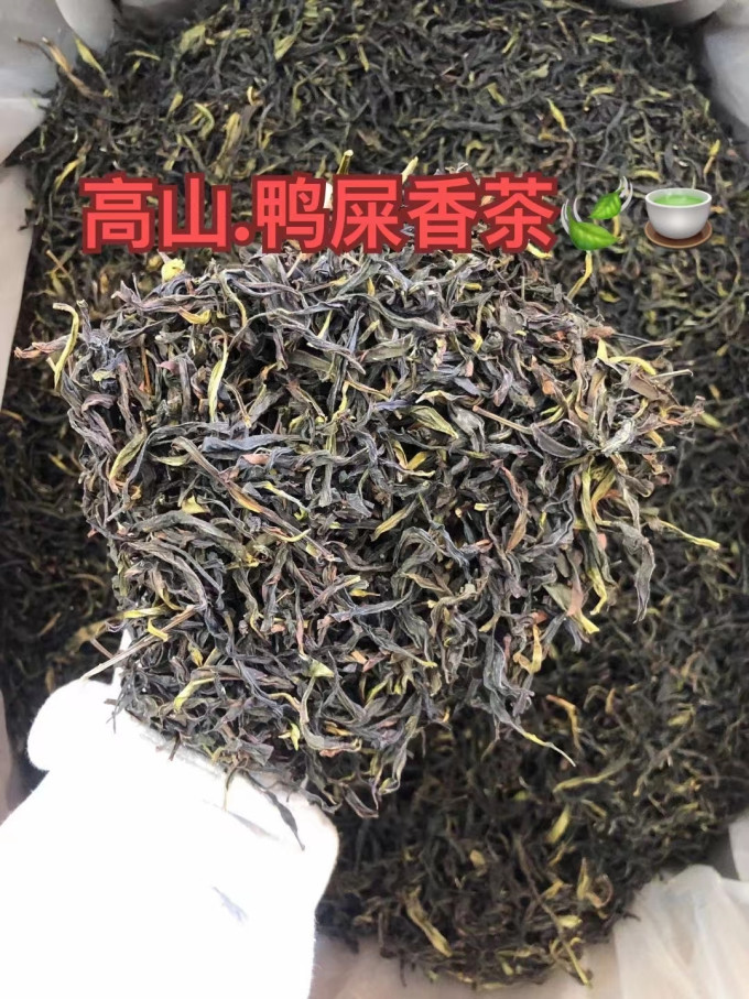 乌龙茶