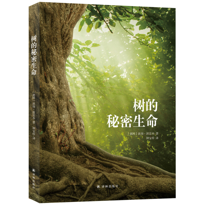 在阅读中，回归心灵深处的小森林｜风物书单·世界森林日特辑