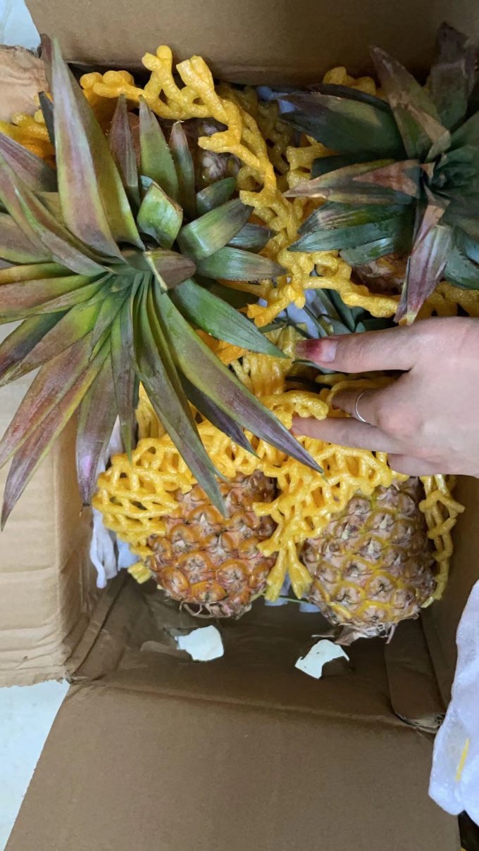 其他水果