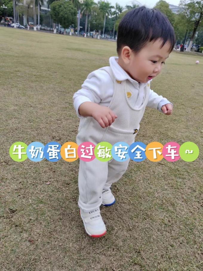 丝塔芙婴儿奶粉