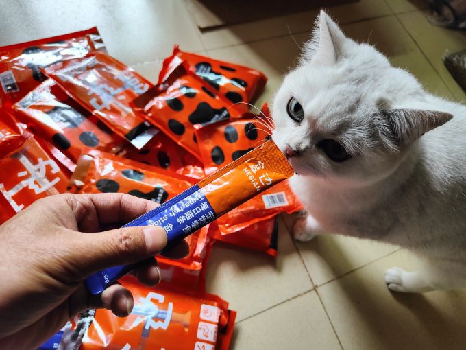 盒边猫咪肉质零食
