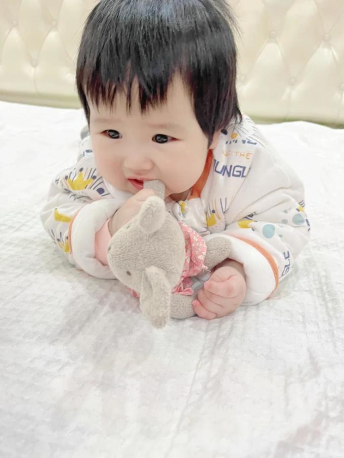 毛绒布艺