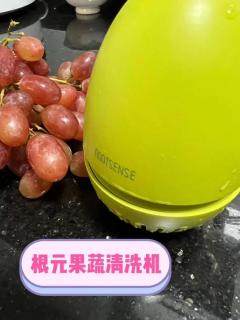 果蔬清洗机是什么神仙玩意啊！！！