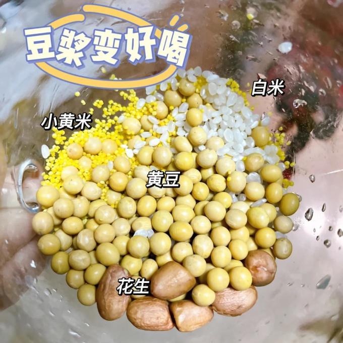 小熊普通料理机