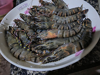 黑虎虾还是特别值得购买的，很好吃的！