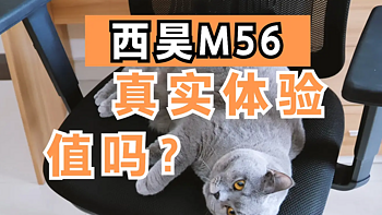 西昊M56电脑椅 人与猫的使用体验测评分享