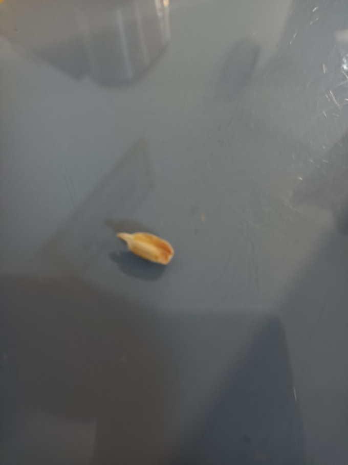 华味亨瓜子