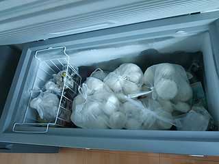 推荐一款非常好用的冰柜
