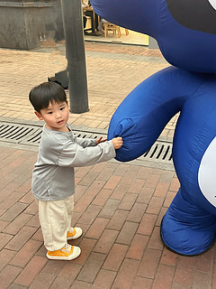 最近掉鞋子窝里了