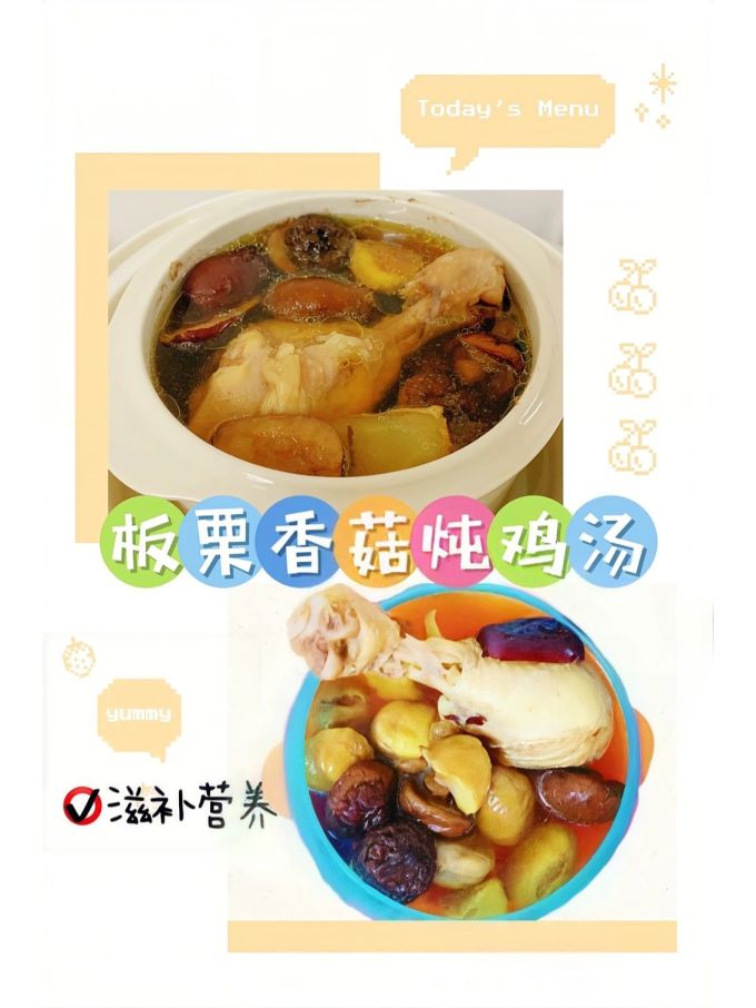 熊博士电炖锅