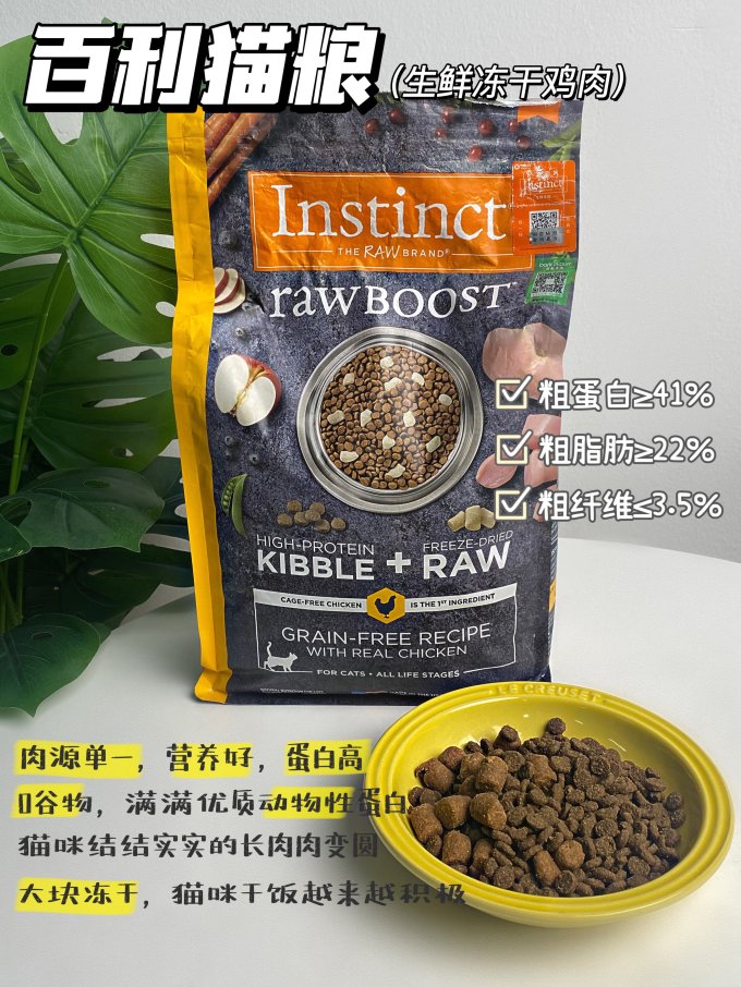 猫咪干粮
