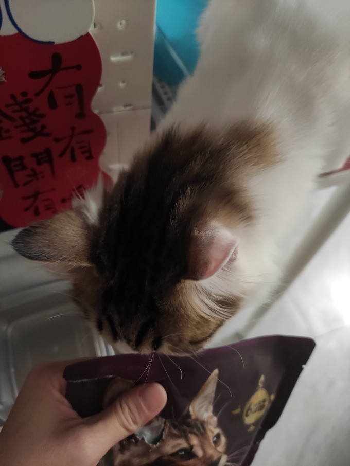 网易严选猫咪干粮