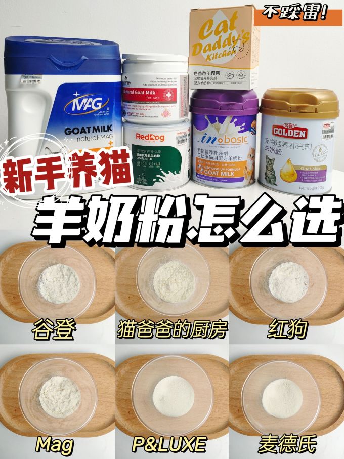 红狗强化免疫