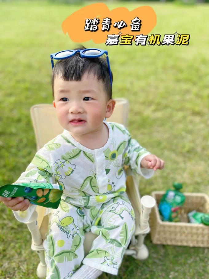 嘉宝果汁果泥