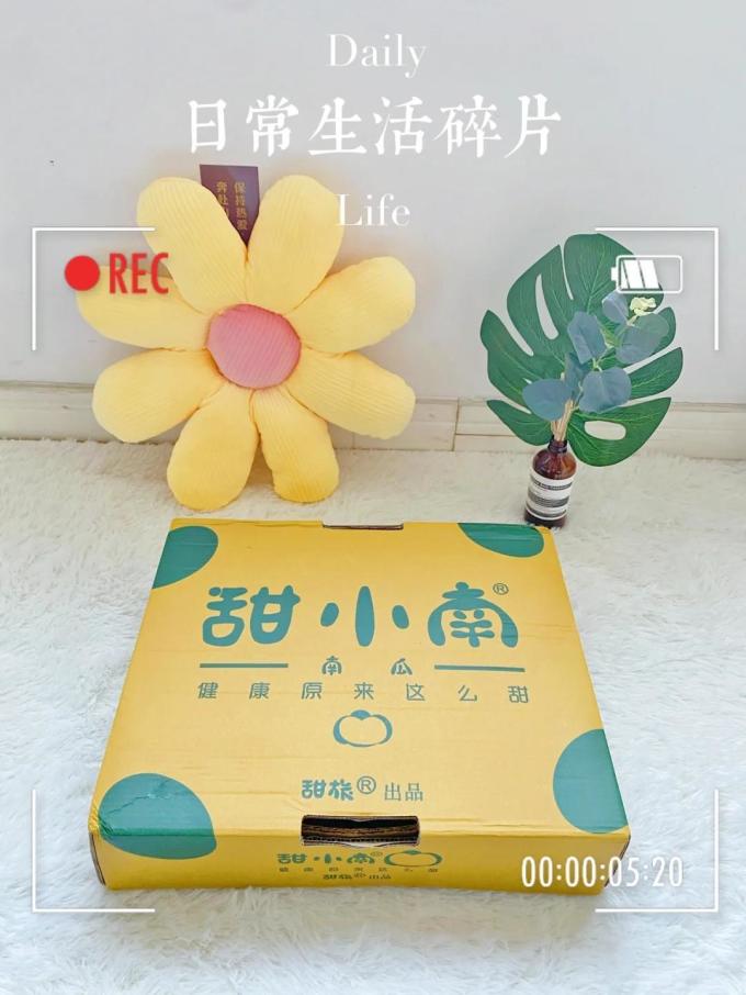 蔬菜