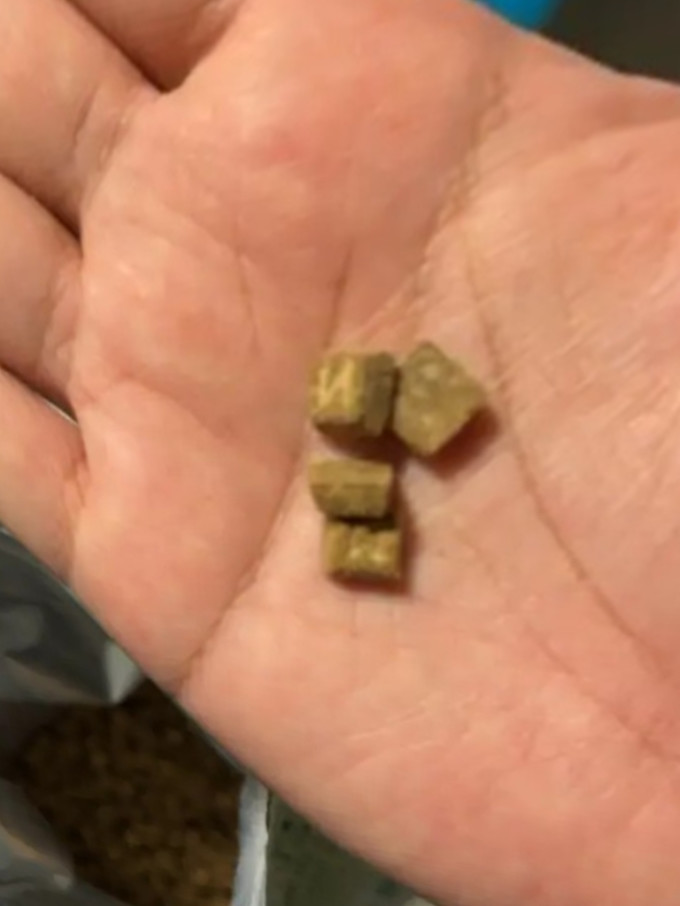 伯纳天纯狗狗干粮
