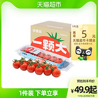 一颗大串番茄樱桃小番茄西红柿198g/盒自然熟办公室零食水果顺丰