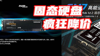 SSD彻底疯狂？220买1T！498买2T！这趟车别错过！【好价清单】