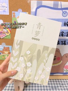 定制我一个人的刷子 好用到哭! 