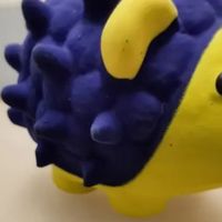 我的精致养宠日记。宜特（EETOYS）小号刺猬