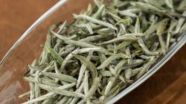 有人喜欢有人喷，北路白毫银针我又准备囤了