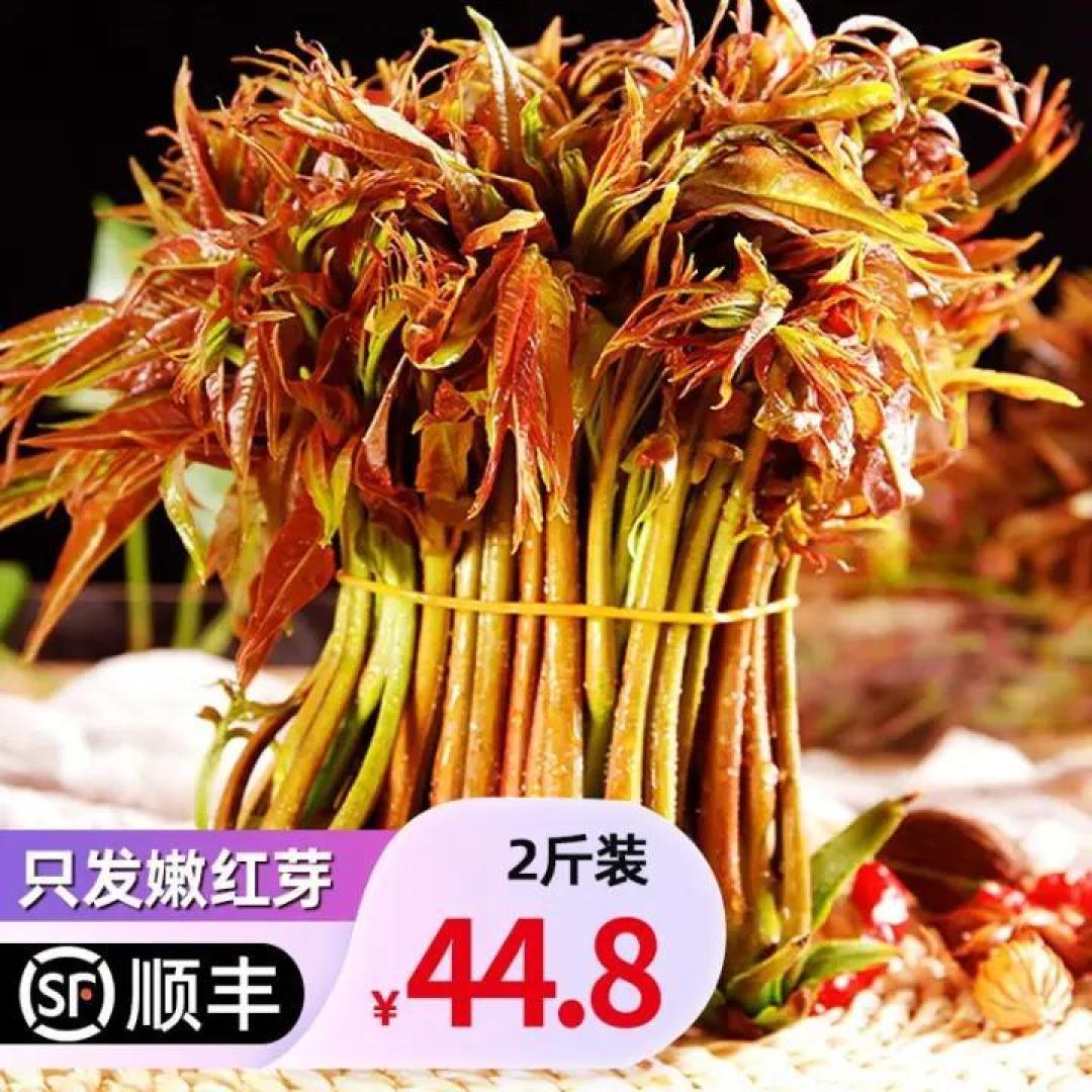 春天的时令美食:香椿