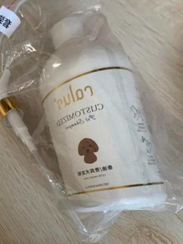 我的精致养宠日记。卡露诗（calus）宠物狗