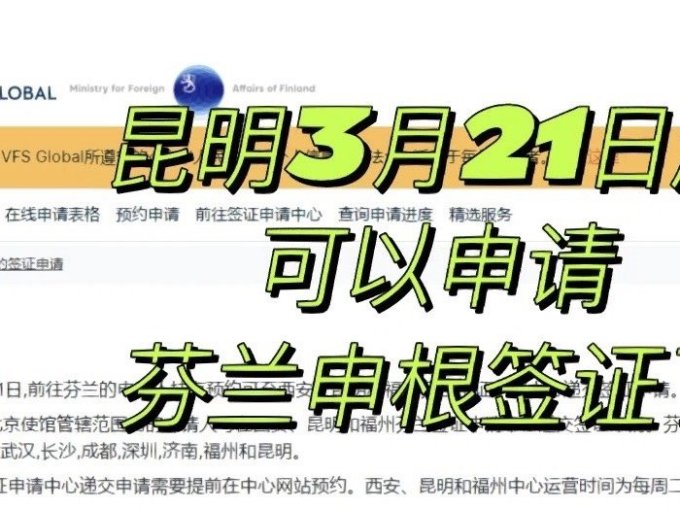 国外签证