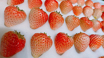 白草莓，酸酸甜甜，是春天的味道啊