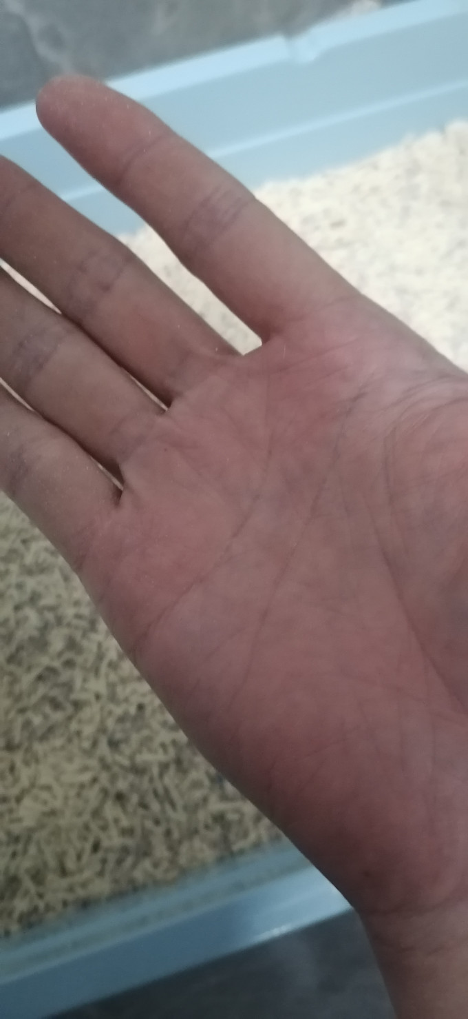盒边猫砂