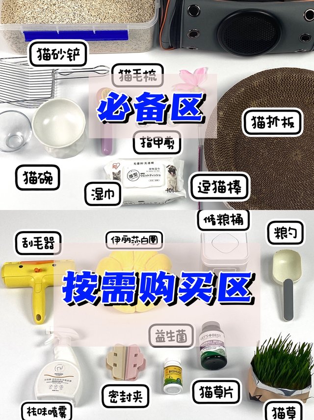 平价实用养猫好物分享｜新手养猫