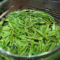 用一杯茶感受春天的味道！