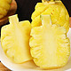 在青黄不接的春天，新鲜水果之一，菠萝，一篇了解国内菠萝主产地，特点