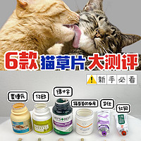 6款猫咪猫草片测评|猫咪毛球症！