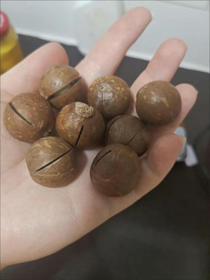 陈琦夏威夷果