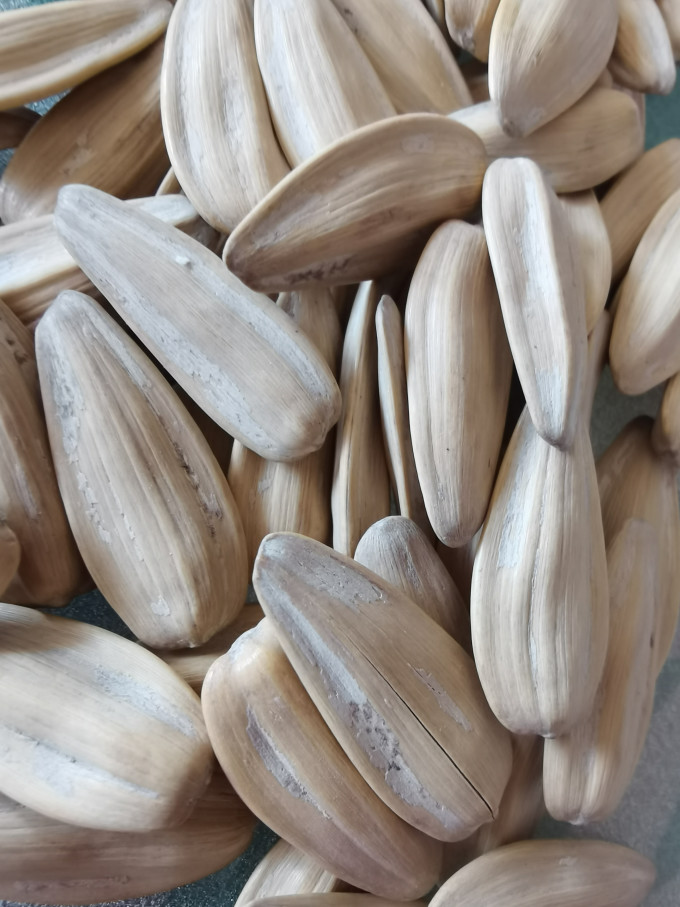 沙土坚果炒货