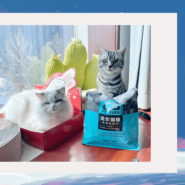 新手第一次养猫选粮攻略~~~