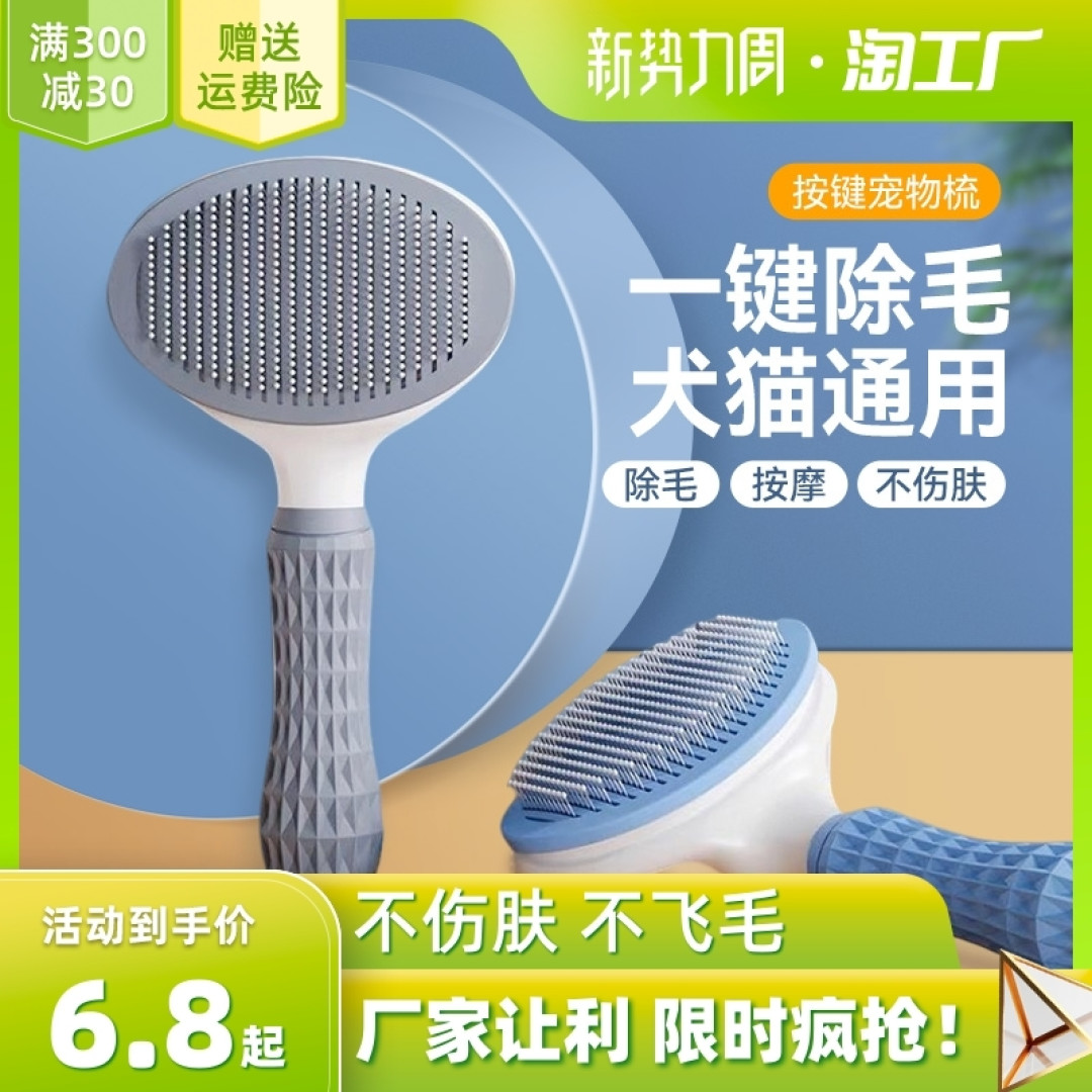 撸猫的快乐,不知你有没有