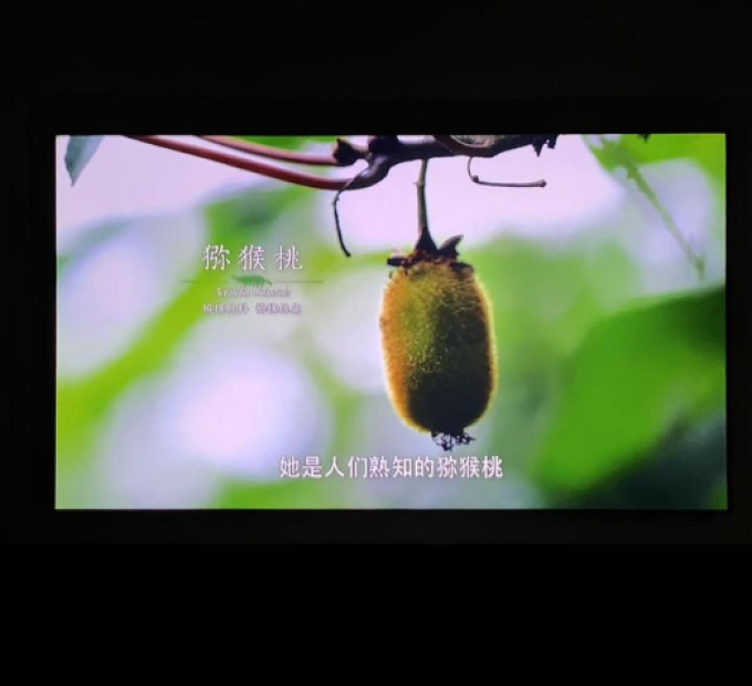 小明投影仪