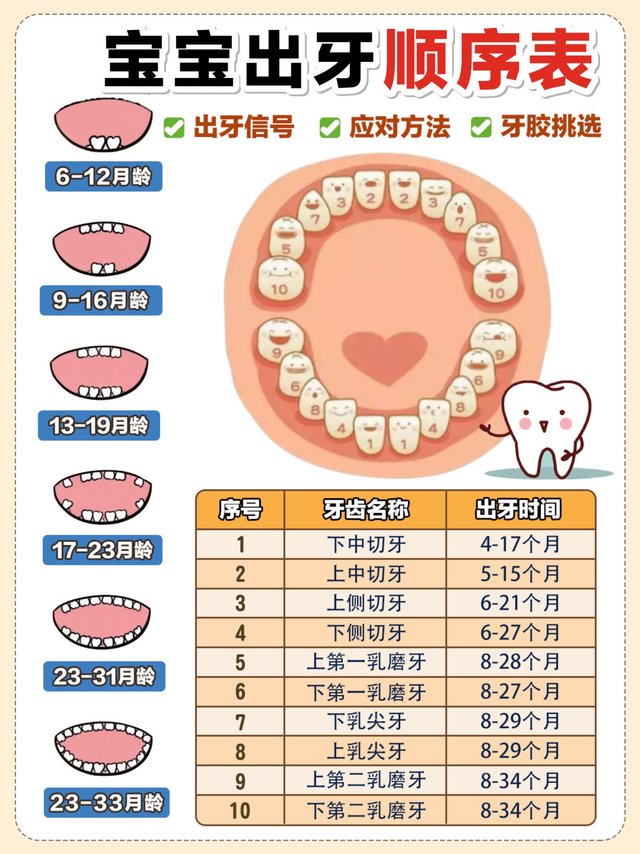 请替娃收藏😭宝宝出牙顺序+症状+护理方法