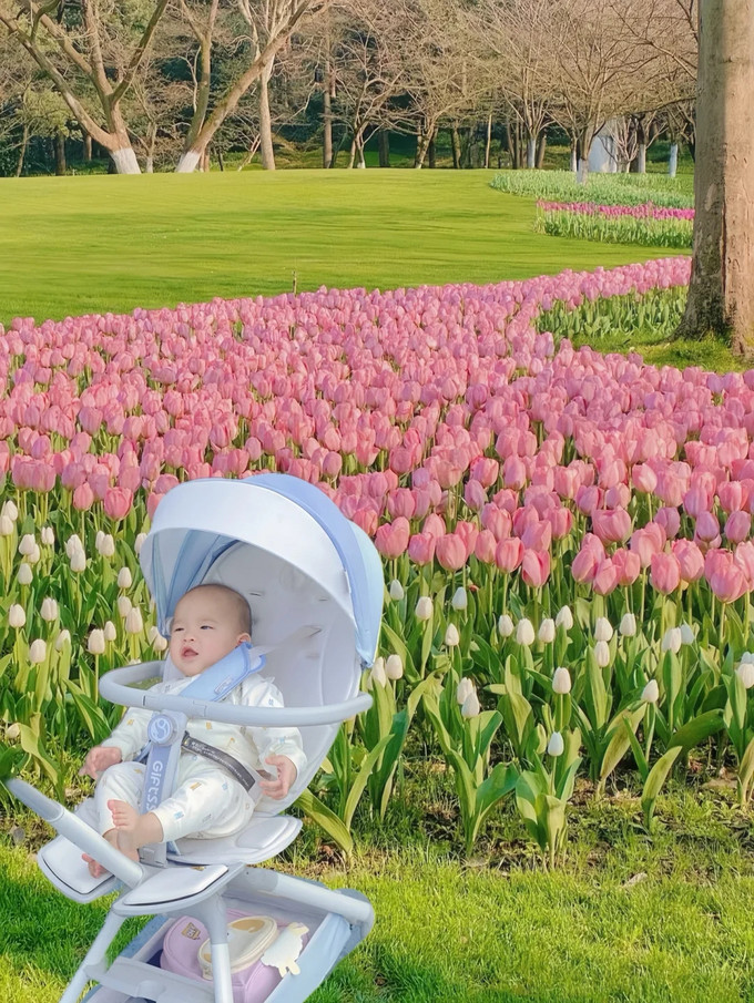 松达婴幼儿沐浴露