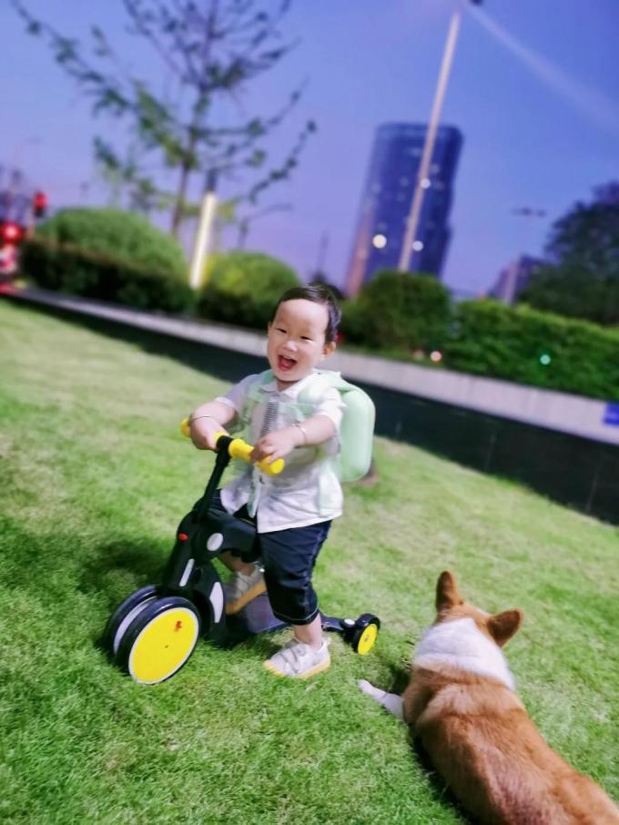 儿童滑板车