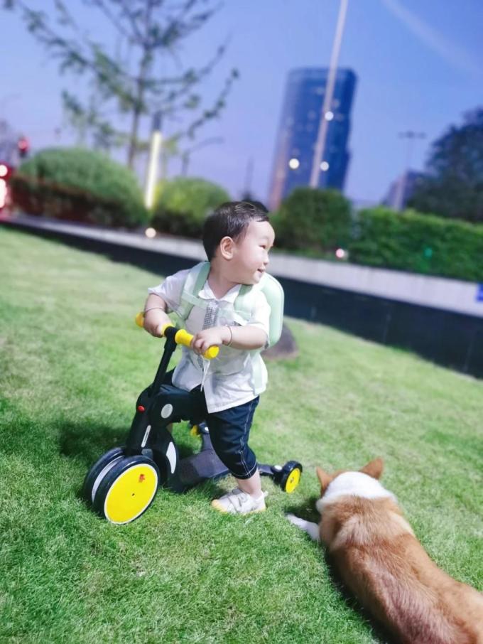 儿童滑板车