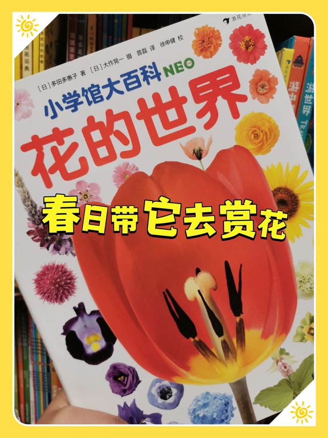 日本小朋友同款——花的世界
