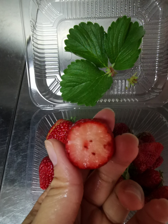 草莓