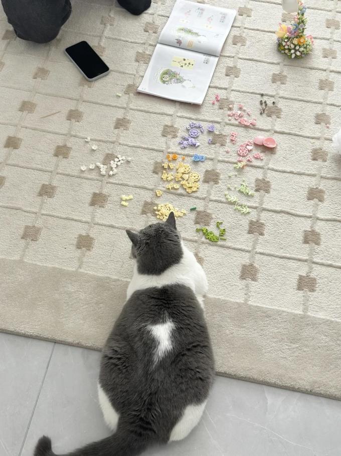 积木拼插