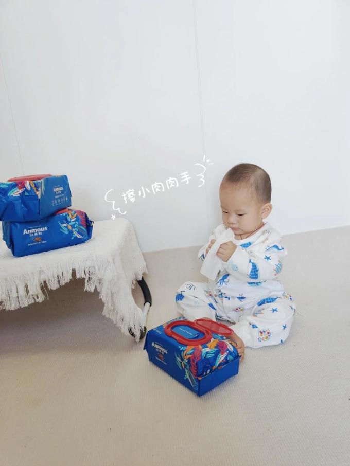 安慕斯湿纸巾