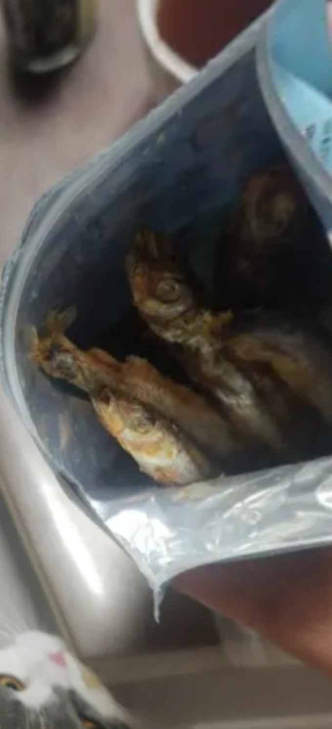 猫零食