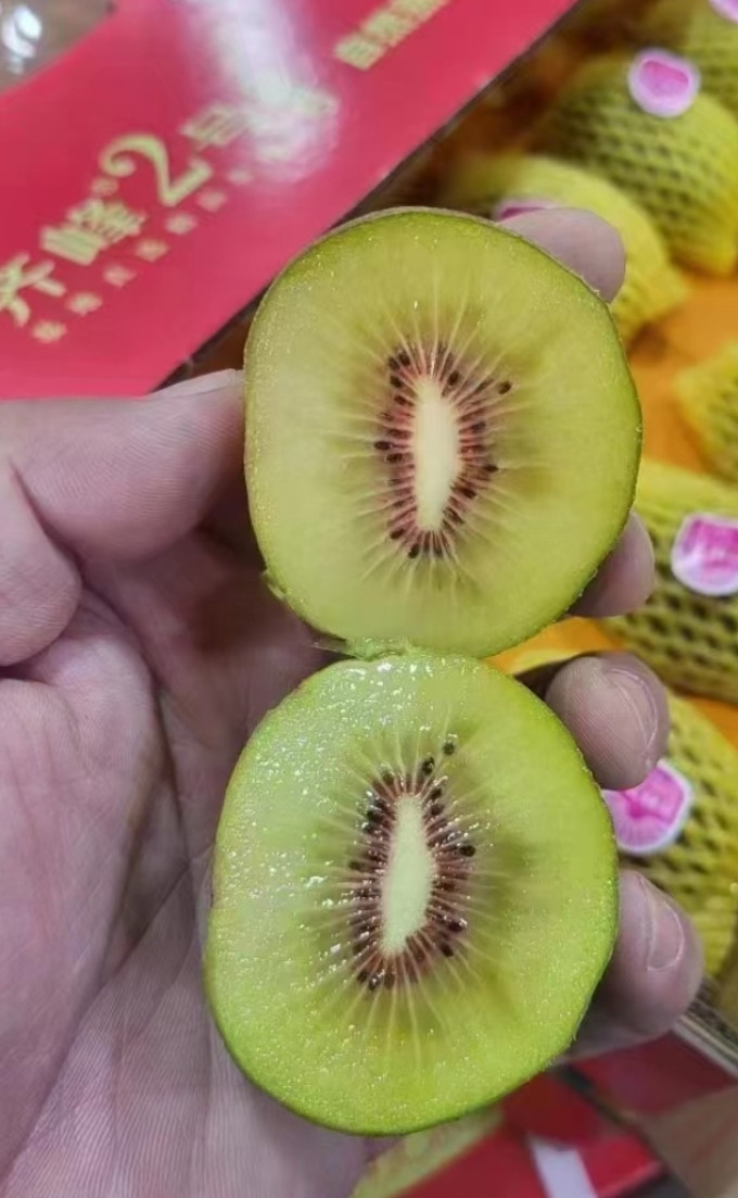 齐峰奇异果/猕猴桃